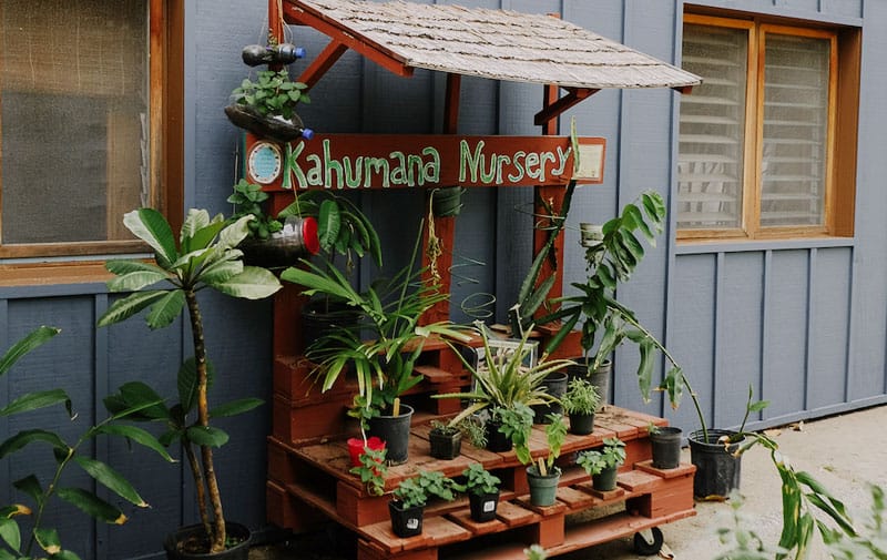 Healing Garden