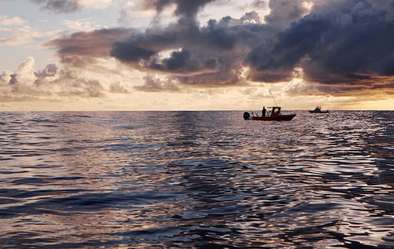 Fisherwomen of Waiʻanae