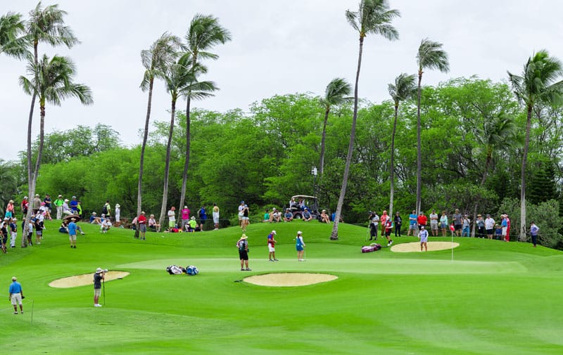 Lotte championship 2020 Clearance