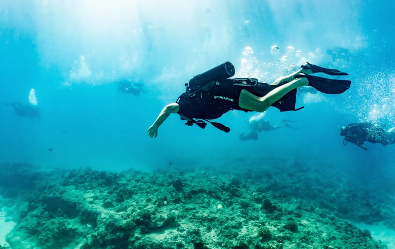 Adventures With Navy Seals In Paradise Could Be Your Dream Vacation