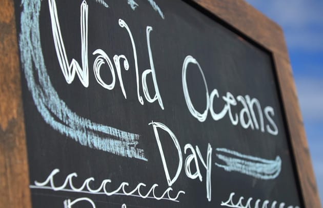 3rd Annual World Oceans Day