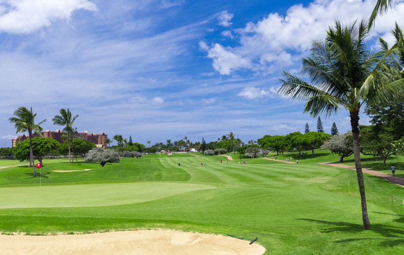 2019 LPGA LOTTE Championship