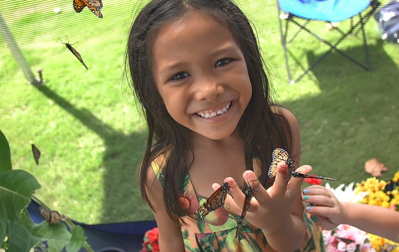 Ko Olina West Side Summer Fest