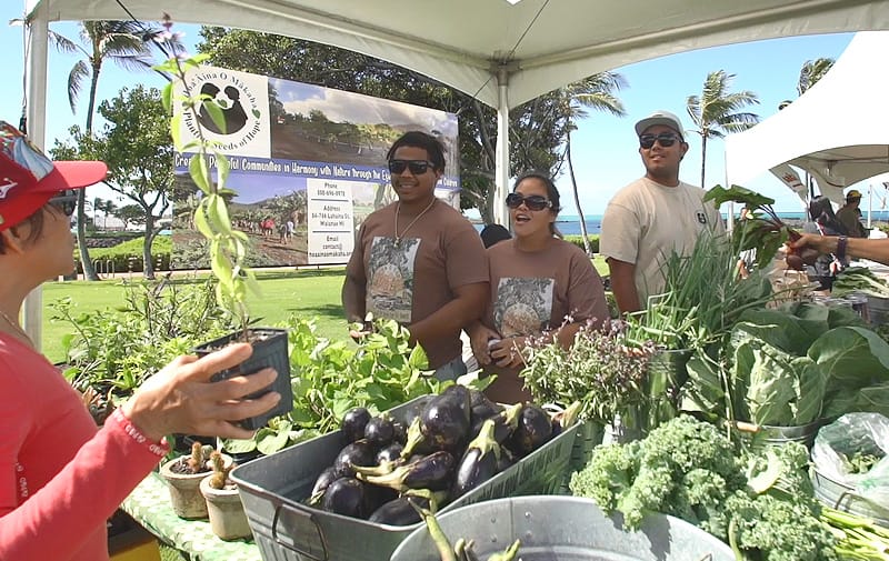 Ko Olina West Side Summer Fest