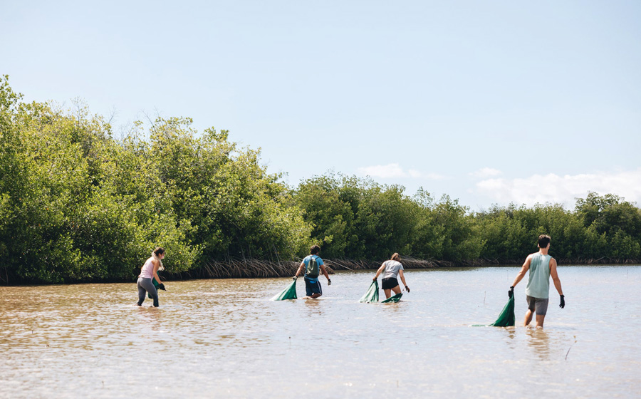 visitors can wade right into the black water and help harvest the plants