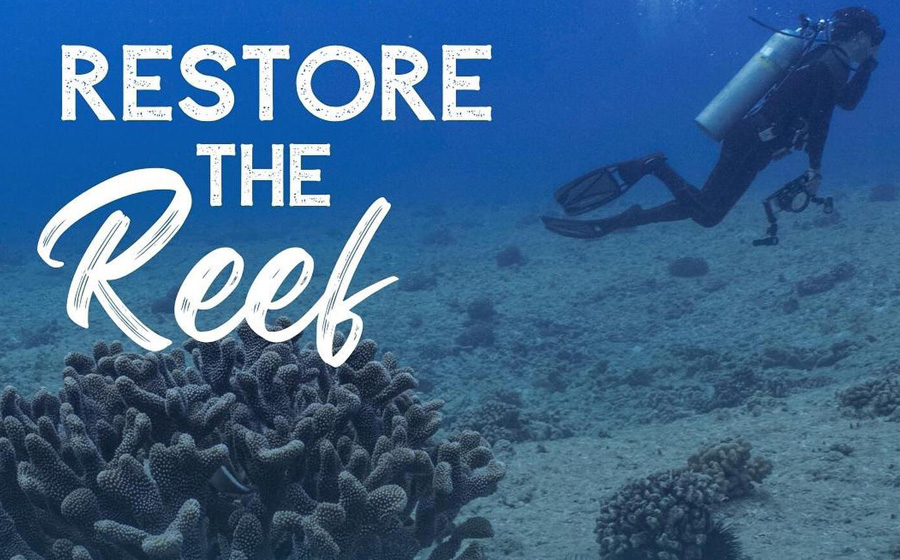 Restore The Reef