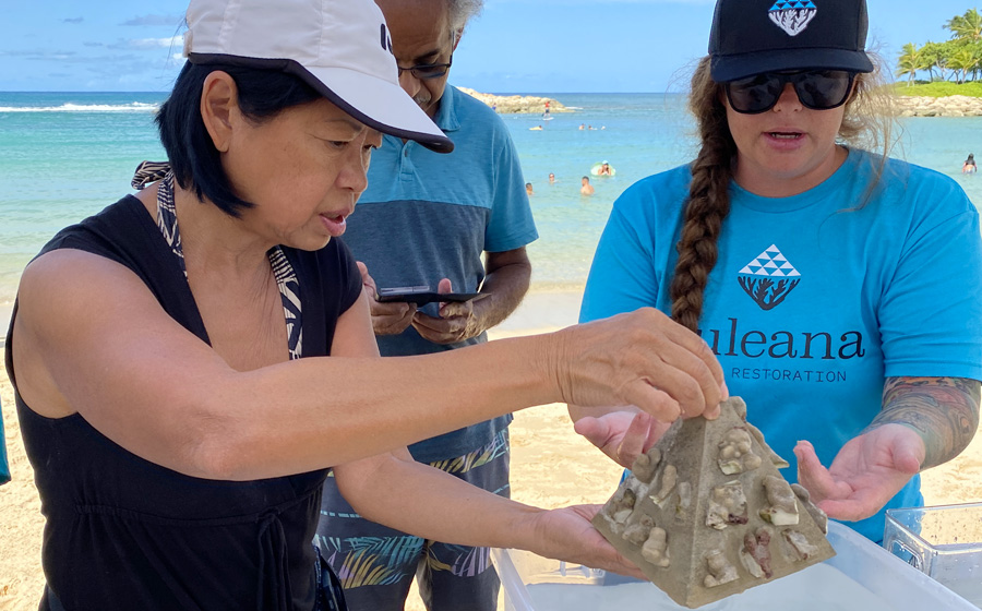 6th Annual World Ocean Day