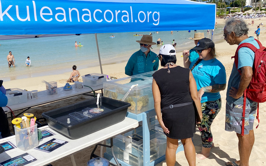 6th Annual World Ocean Day