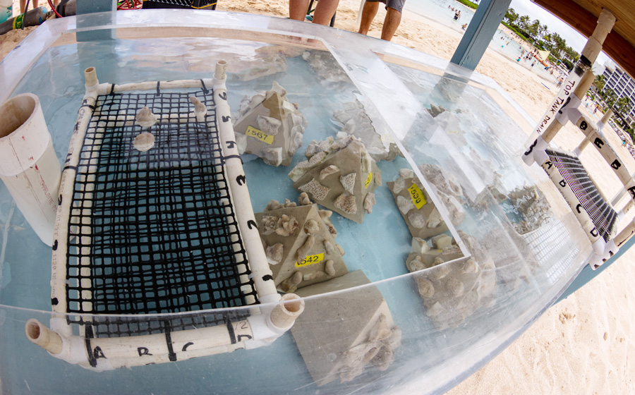 6th Annual World Ocean Day