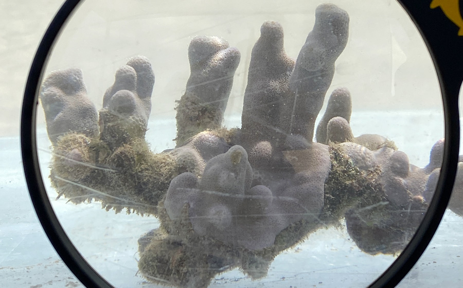 6th Annual World Ocean Day