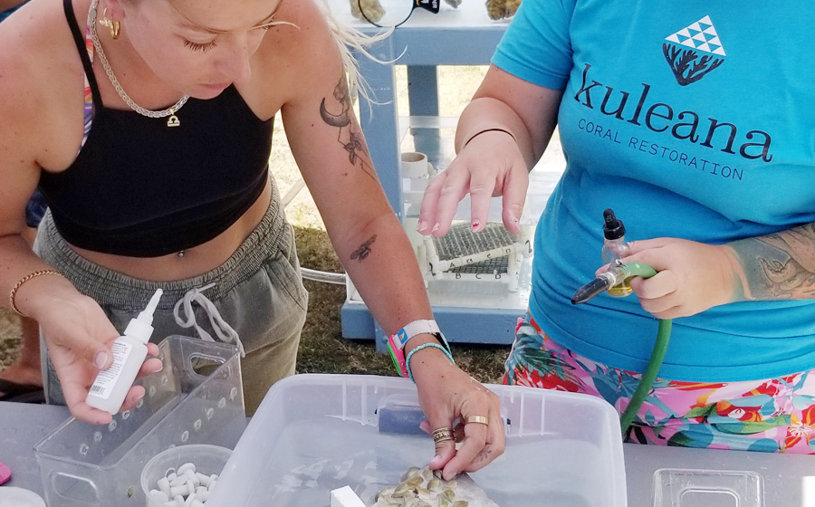 6th Annual World Ocean Day