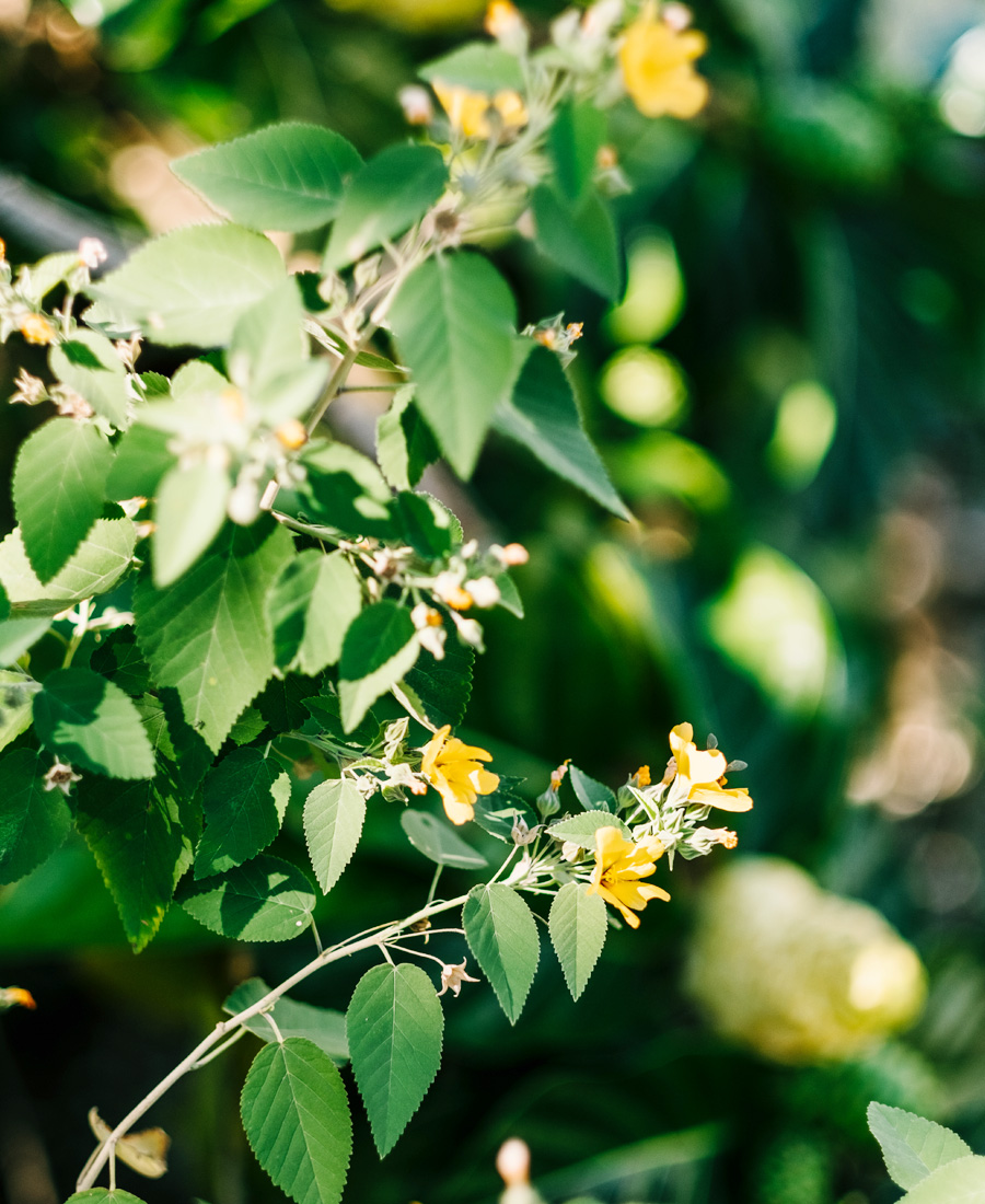 Kalaeloa Heritage Park