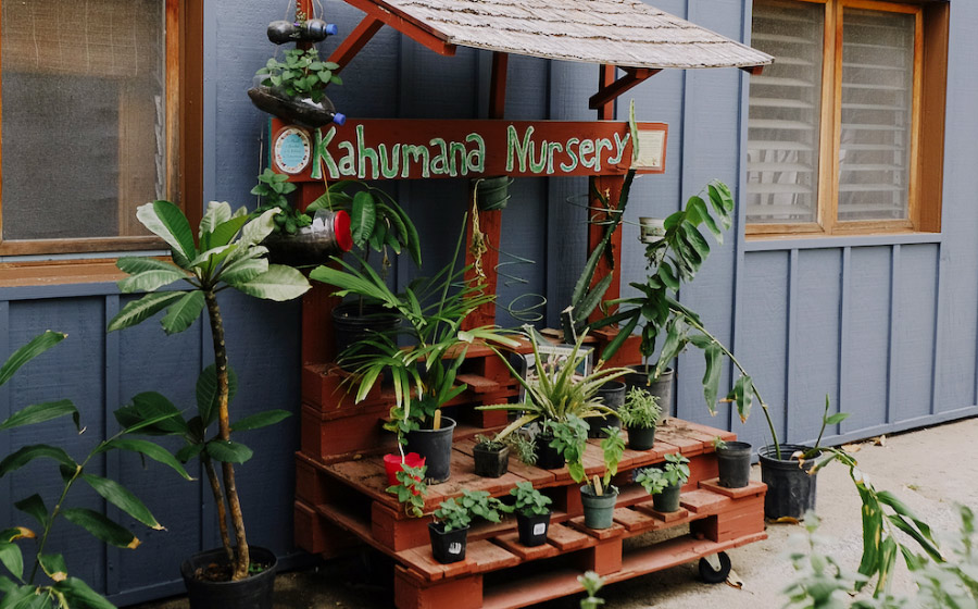 Kahumana Organic Farm