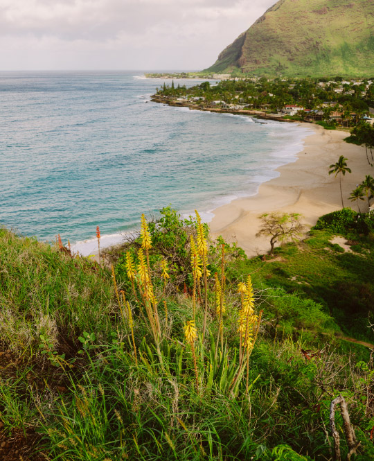 Miniature Majesty – Ko Olina