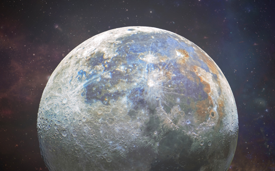 photographer davin carvalho