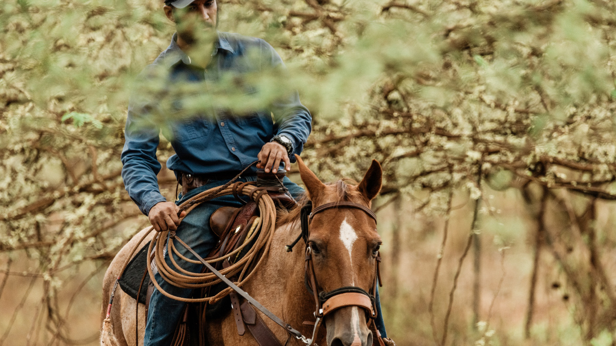 Sheldon Sojot Kunia rancher