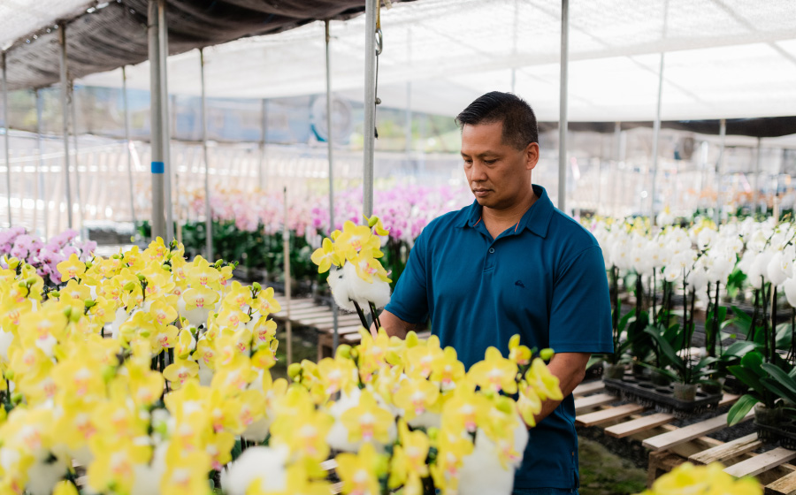 S&W Orchid Nursery & Garden,Waiʻanae