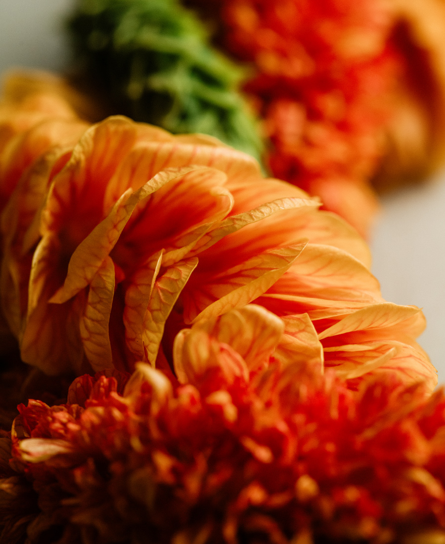 lei maker, dale acoba, waipahu