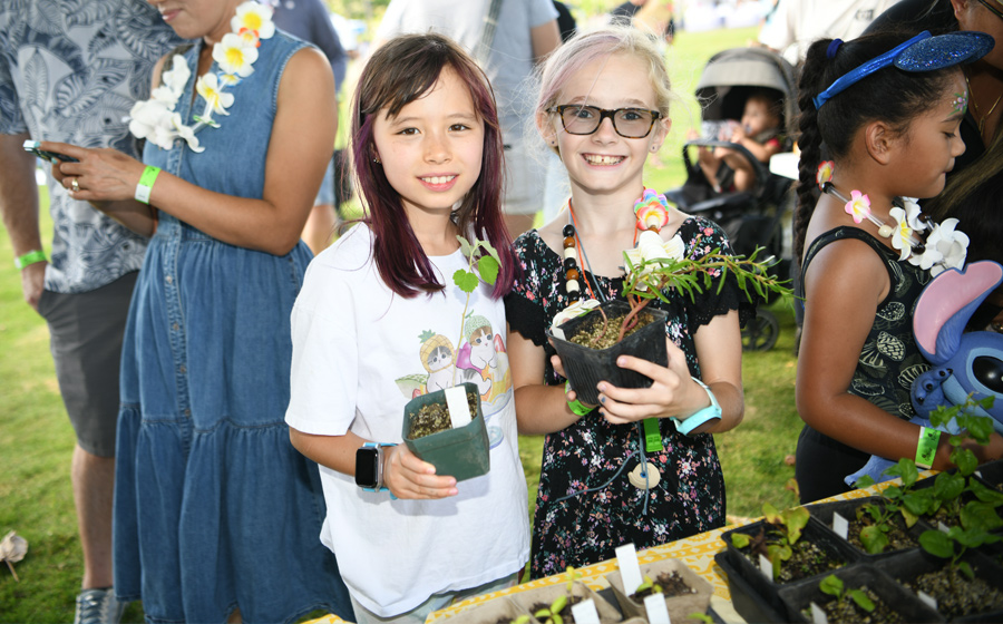 children festival, sunset screening, performances