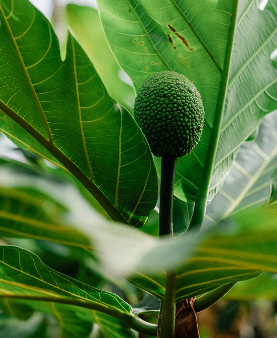 west side health center