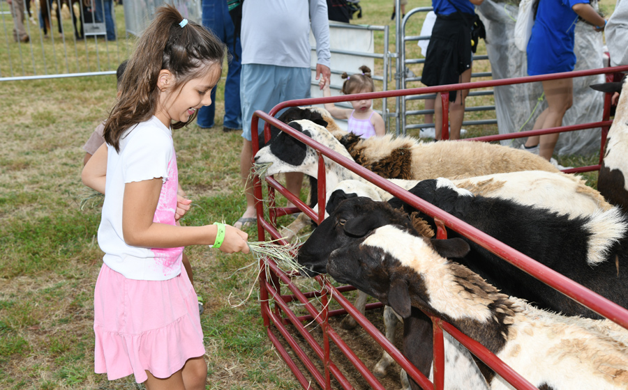 children festival, cancer