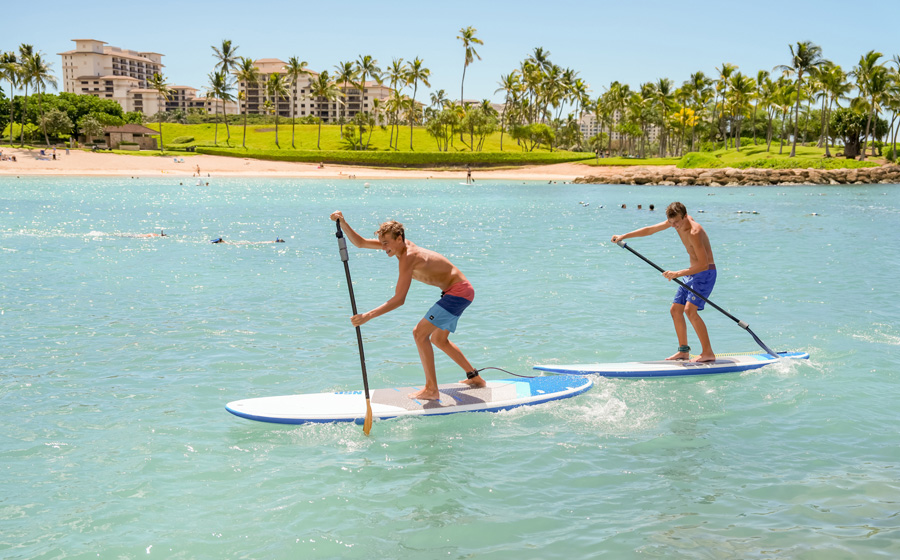 four seasons, holiday, new year